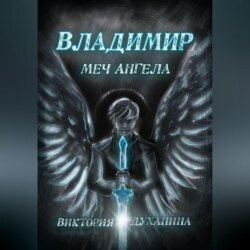 Владимир. Меч Ангела