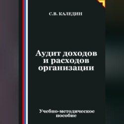 Аудит доходов и расходов организации