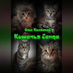 Кошачья банда