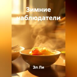 Зимние Наблюдатели