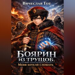 Боярин из трущоб. Меня хотели сломать