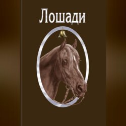 Лошади