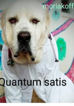 Quantum satis