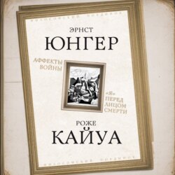 Аффекты войны. «Я» перед лицом смерти