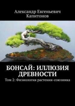 Бонсай: Иллюзия древности. Том 2: Физиология растения-союзника