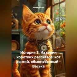 ИСТОРИЯ 3. ИЗ СЕРИИ КОРТКИХ РАССКАЗОВ: КОТ РЫЖИЙ, ОБЫКНОВЕННЫЙ – ВАСЬКА