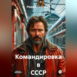 Командировка в СССР