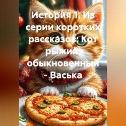 СЕРИЯ КОРОТКИХ РАССКАЗОВ: КОТ РЫЖИЙ, ОБЫКНОВЕННЫЙ – ВАСЬКА.