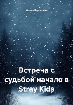 Встреча с судьбой начало в Stray Kids