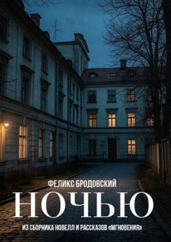 Ночью. Из сборника новелл и рассказов «Мгновения»