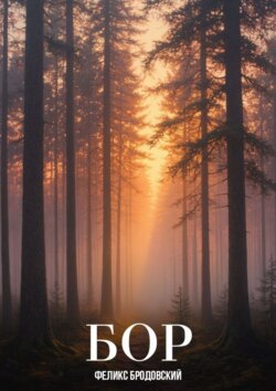 Бор. Из сборника новелл и рассказов «Мгновения»