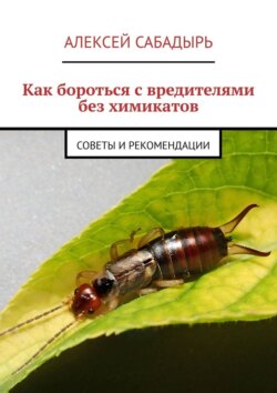 Как бороться с вредителями без химикатов. советы и рекомендации
