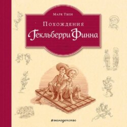 Похождения Гекльберри Финна