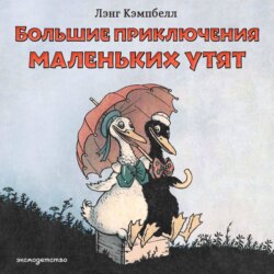 Большие приключения маленьких утят