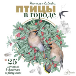 Птицы в городе. 25 историй в фактах