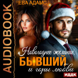 Новогоднее желание, Бывший и горы любви