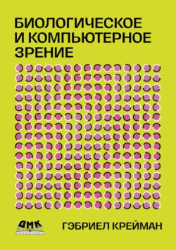 Биологическое и компьютерное зрение