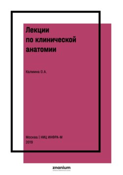Лекции по клинической анатомии (английский язык)