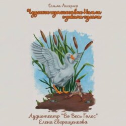 Сельма Лагерлёф «Чудесное путешествие Нильса с дикими гусями»