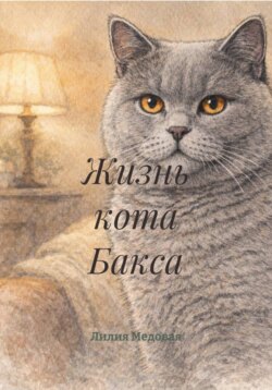 Жизнь кота Бакса