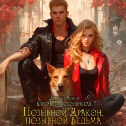 Позывной «Дракон», позывной «Ведьма»