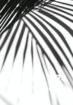 im - jdshc 7778 soavt book