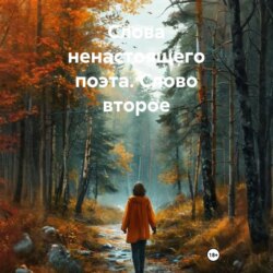 Слова ненастоящего поэта. Слово второе