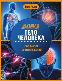 Тело человека. Энциклопедия