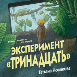Эксперимент «Тринадцать»