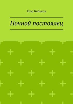 Ночной постоялец