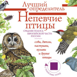 Непевчие птицы. Средняя полоса европейской части России. Определитель с голосами птиц