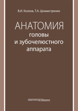 Анатомия головы и зубочелюстного аппарата. Учебное пособие для стоматологов
