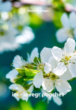 im - ia regr pogche1