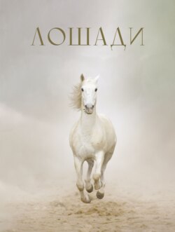 Лошади