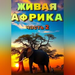 «Живая Африка». Часть 2