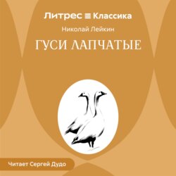 Гуси лапчатые