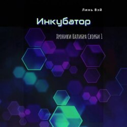 Инкубатор
