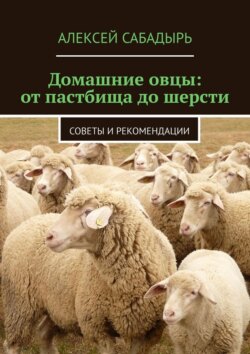 Домашние овцы: от пастбища до шерсти. Советы и рекомендации
