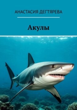 Акулы