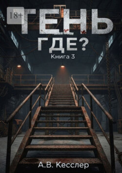 Тень: Книга 3. Где?