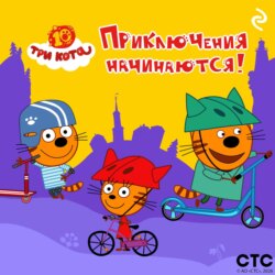 Три кота. Приключения начинаются!