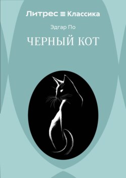 Черный кот