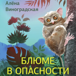 Блюме в опасности