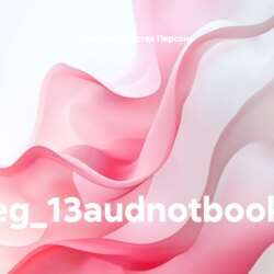 eg_13audnotbook