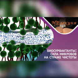 Биосурфактанты, что это за «ЗВЕРЬ»?