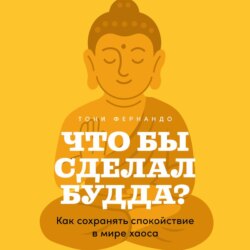 Что бы сделал Будда? Как сохранять спокойствие в мире хаоса