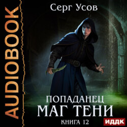 Попаданец. Маг Тени. Книга 12