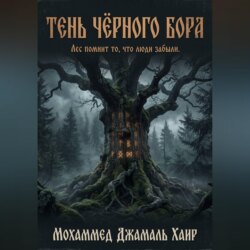 Тень Чёрного Бора