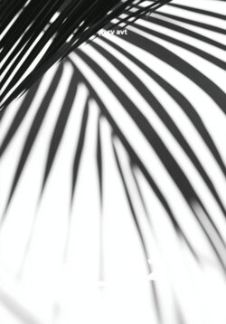 ak_ve2