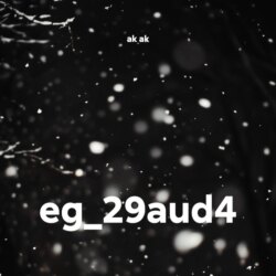 eg_29aud4